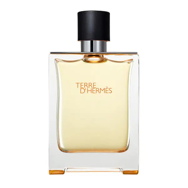 Hermès Terre d’Hermès EDT 100 ml
