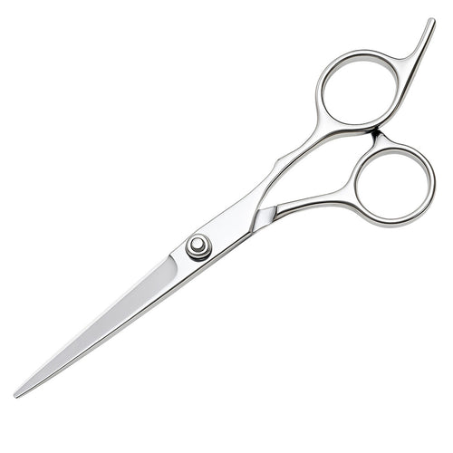 Beautifly Professional Hair Scissors, Stainless Steel, Silver Color