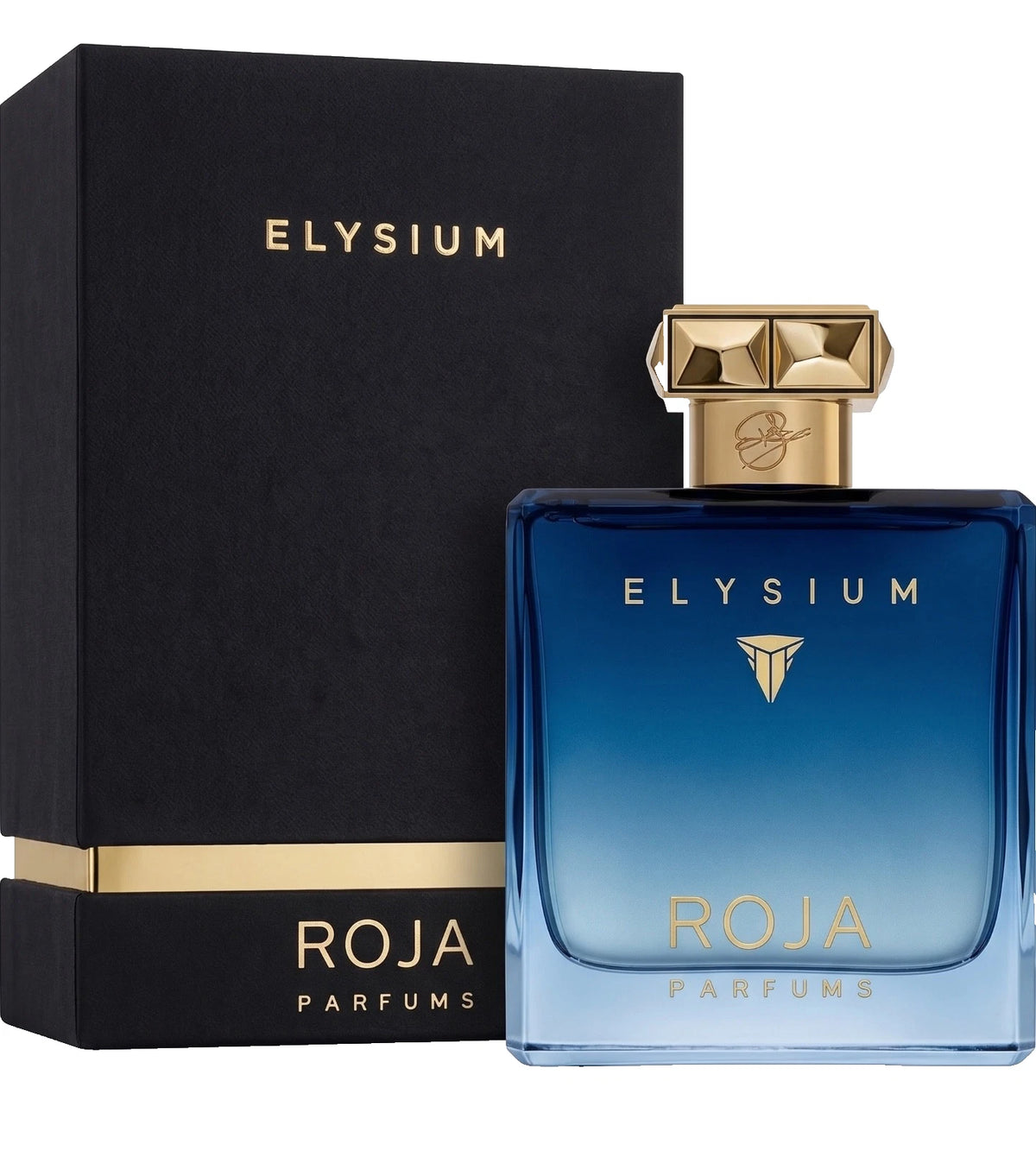 Roja Elysium Pour Homme EDP 100 ml